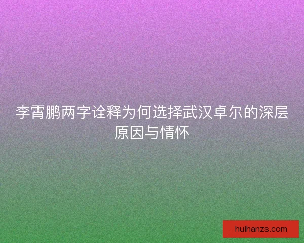 李霄鹏两字诠释为何选择武汉卓尔的深层原因与情怀